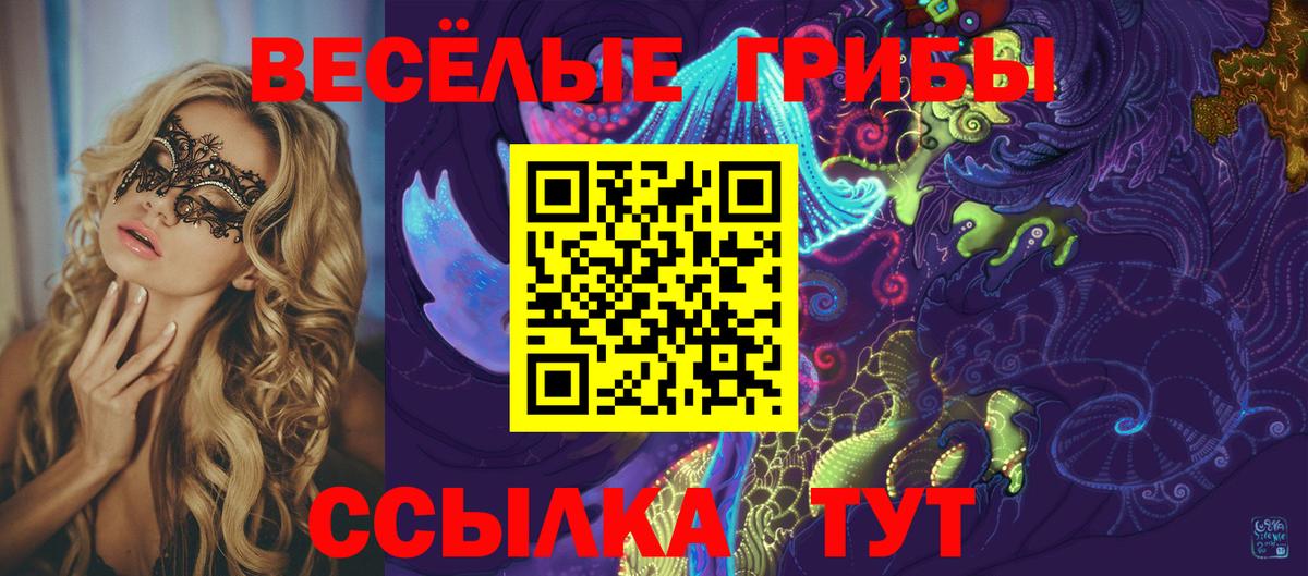 Псилоцибиновые грибы Psilocybine cubensis  Вход с VPN  купить   Галлюциногенные грибы Psilocybe  Химки 