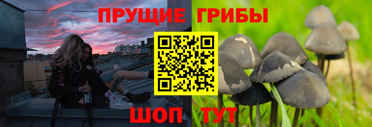 Псилоцибиновые грибы ЛСД Химки
